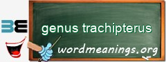 WordMeaning blackboard for genus trachipterus